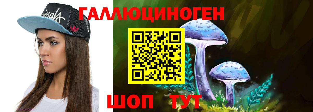 Галлюциногенные грибы GOLDEN TEACHER  Псилоцибиновые грибы MAGIC MUSHROOMS  Тосно  Вход с VPN 